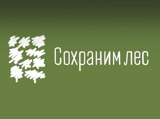 Костромская телебашня окрасится в зеленый цвет в поддержку акции «Сохраним лес»