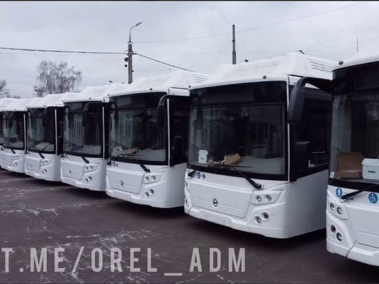 В Орле 28 новых ЛиАЗов выйдут на маршруты уже в начале декабря