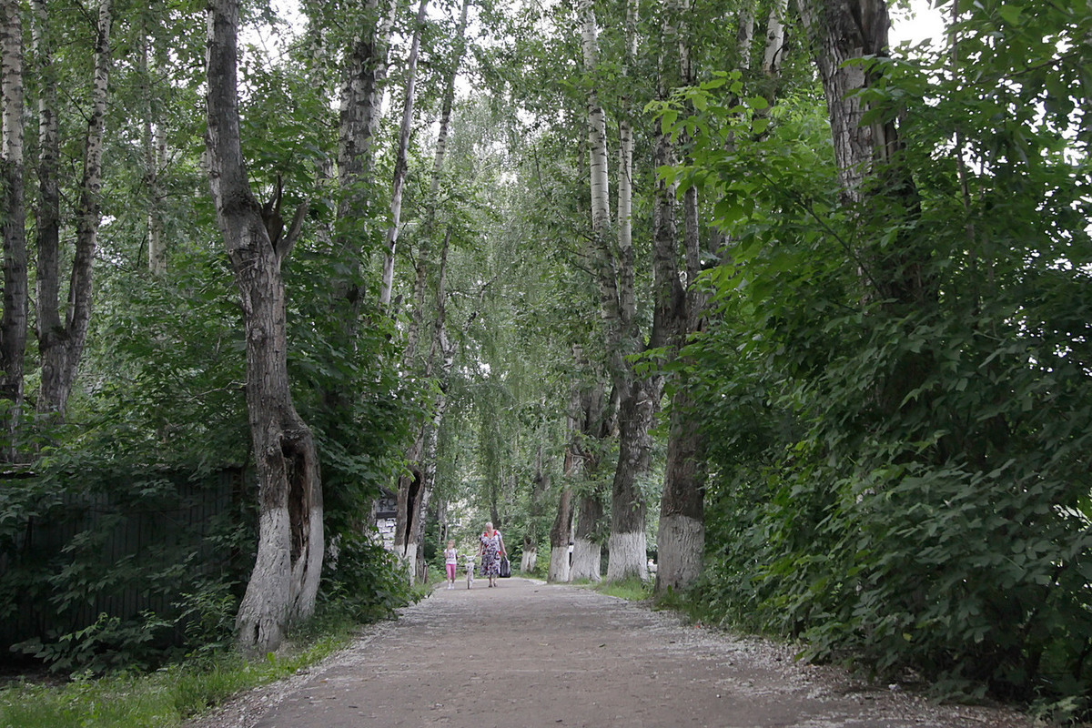 Кузьминки люберцы. Томилинский лесопарк Московская область. Томилинский лесопарк благоустройство. Томилинский лесопарк обустройство. Томилинский лесопарк фото.