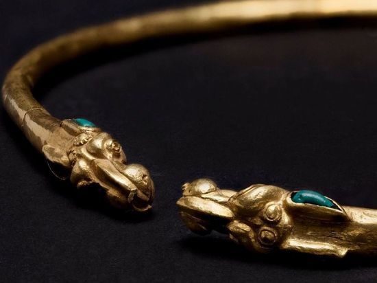 Исторический музей показал найденное в Воронежской области золотое украшение I века до нашей эры