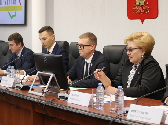Молодые депутаты Краснодара проанализировали итоги работы за 2022 год