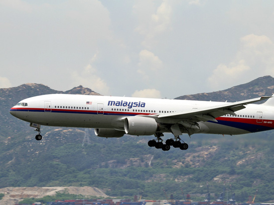 Эксперт оценила вероятность выдачи Гиркина и Дубинского по делу об MH17
