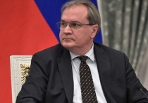 Руководитель Совета по правам человека при президенте России Валерий Фадеев сообщил, что направит в международные организации видеозапись с якобы казнью российских военнопленных в Макеевке