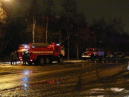 В Новодвинске горел контейнер для бытовых отходов