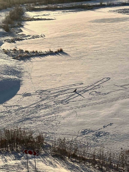 Огромные члены вытоптали на снегу в Надыме: заподозрили собаку