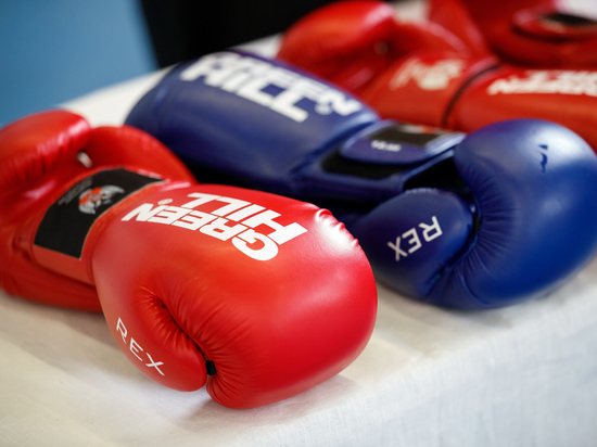Больше 130 спортсменов встретились на псковском турнире по боксу