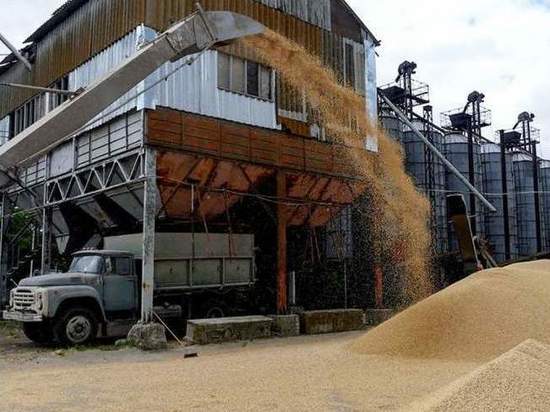 Россия дала добро на продолжение «зерновой сделки»: в чем скрытая выгода