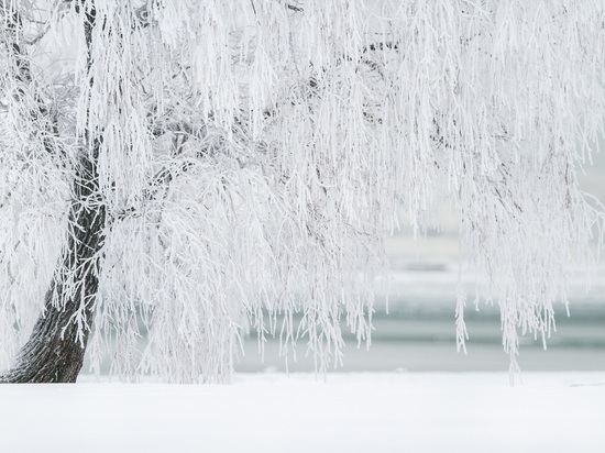 Сильный снегопад ожидается в среду в Нижнем Новгороде