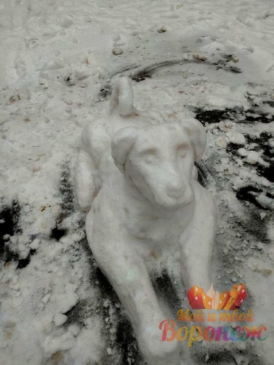 Воронежцы слепили первую снежно-ледяную скульптуру