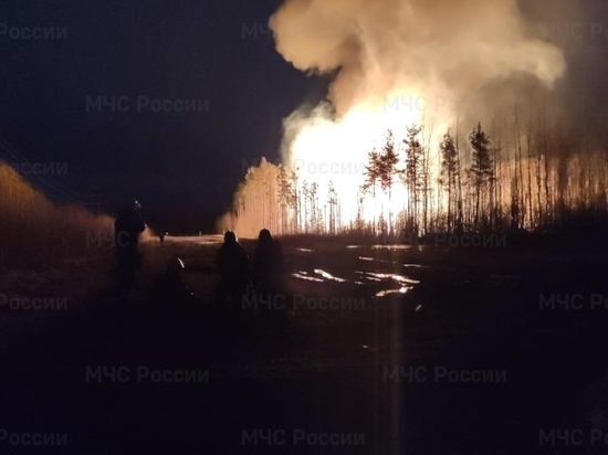 В МЧС назвали причину взрыва на газопроводе в Ленобласти