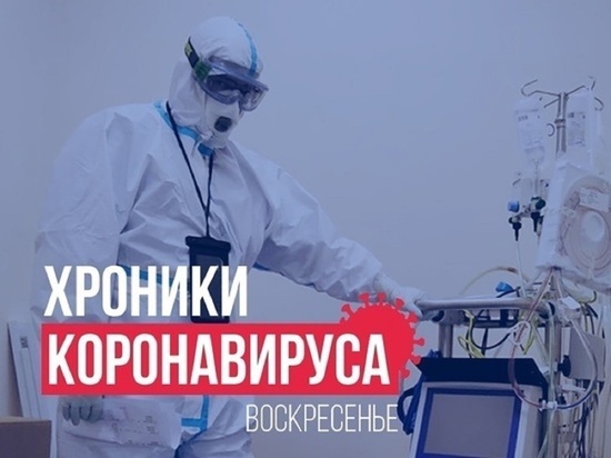 Хроники коронавируса в Тверской области: главное к 20 ноября