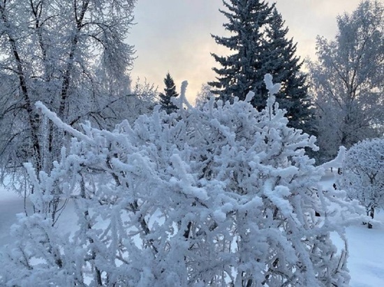 Мороз до -15 и метели прогнозируют в Алтайском крае 20 ноября
