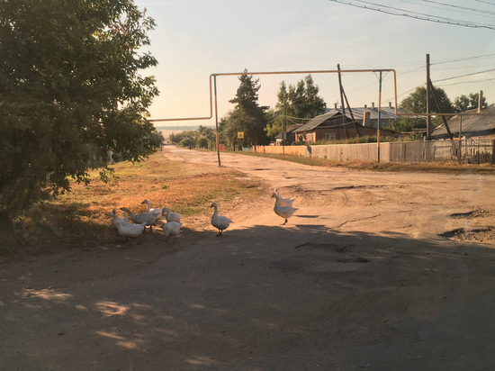 В Романовском районе женщина сообщила полицейскому, что ее изнасиловали, но он ей не поверил