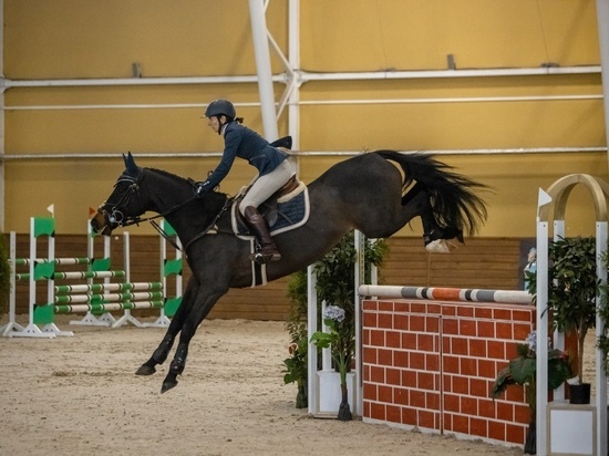 В Курске открылись соревнования по конному спорту на Кубок губернатора
