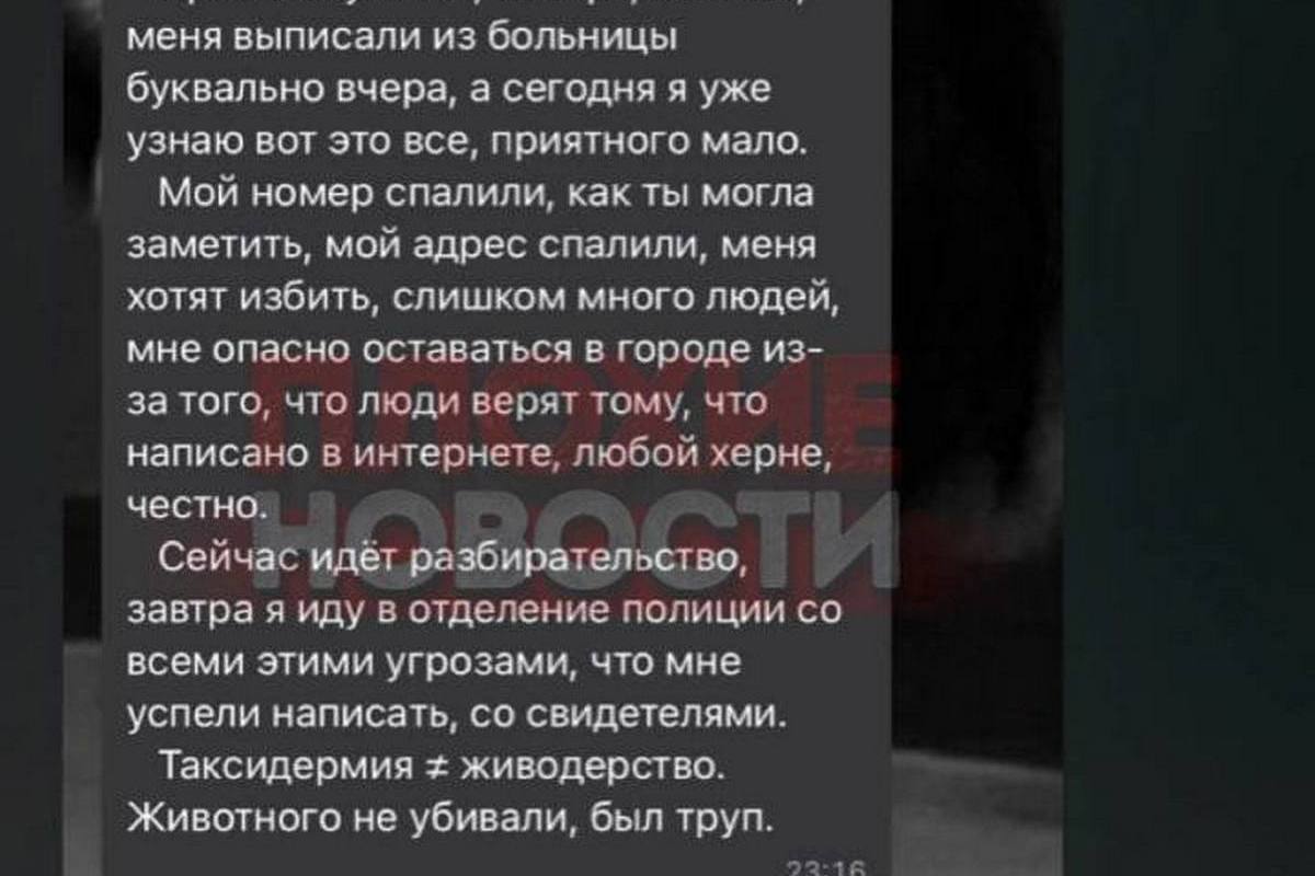 Во Владивостоке девушка рассказала, что голова кота была взята уже у  мертвого животного - МК Владивосток