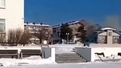 Момент взрыва пятиэтажки на Сахалине попал на видео: разбор завалов