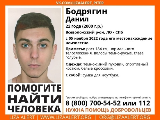 Больше двух недель во Всеволожске ищут пропавшего мужчину