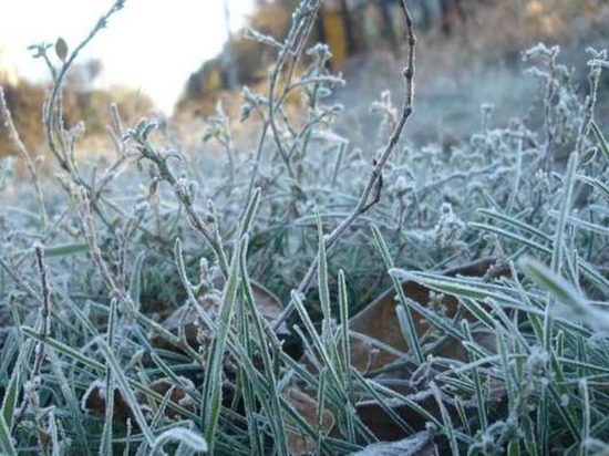 Снег и морозы: какая погода ожидает жителей Чувашии на неделе