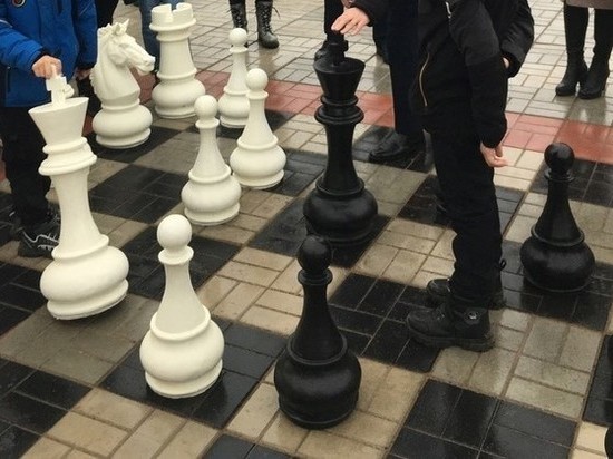 В Батецком районе появились большие уличные шахматы