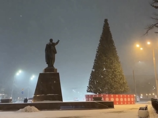 В Рязани установили главную ёлку на площади Ленина