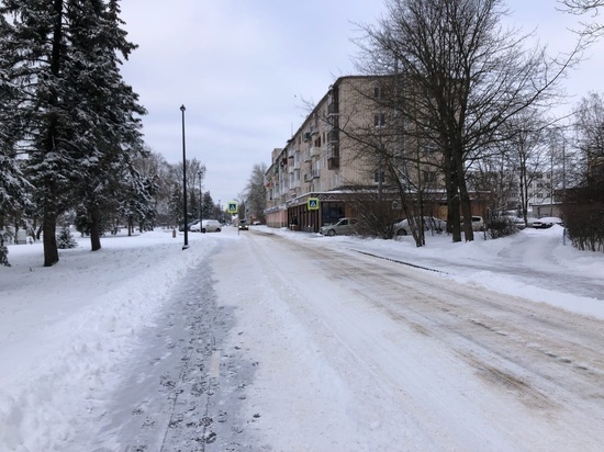 Неделя в Новгородской области начнется без снега