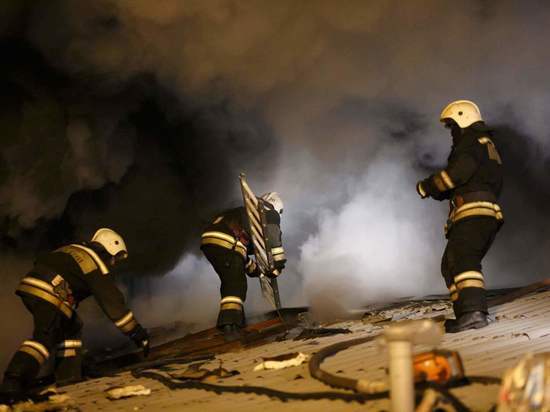 Утром под Волгоградом потушили пожар на площади 600 квадратных метров