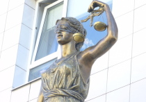 Суд приговорил жителя Белгорода к девяти с половиной годам лишения свободы за смерть матери