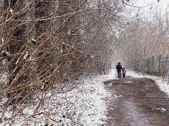 На Тверскую область надвигаются ледяные дожди: в ГИБДД обратились к водителям