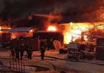 Стало известно о спасении 11 человек из горящего склада на Комсомольской площади местными полицейскими