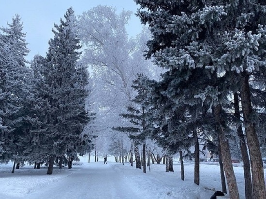 Жителей Алтайского края предупредили об аномальных морозах на этой неделе