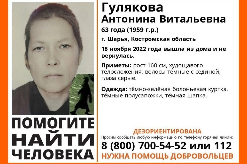 Костромские волонтеры просят помочь в поисках пропавшей жительницы Шарьи