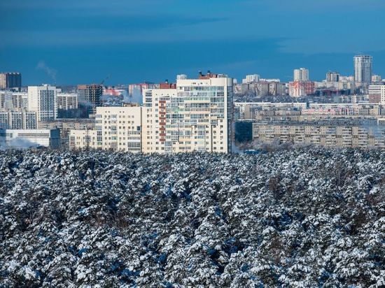 Кто и зачем вокруг российских мегаполисов создает зеленые пояса