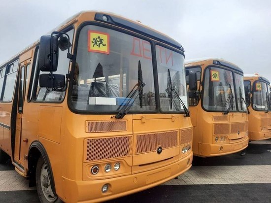 В Пензенскую область пришло 45 новых школьных автобусов