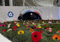 В Сочи начал работу Международный форум «Атомэкспо-2022»