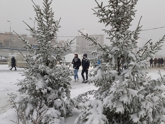 В Москве ожидается метель и ледяной дождь во вторник