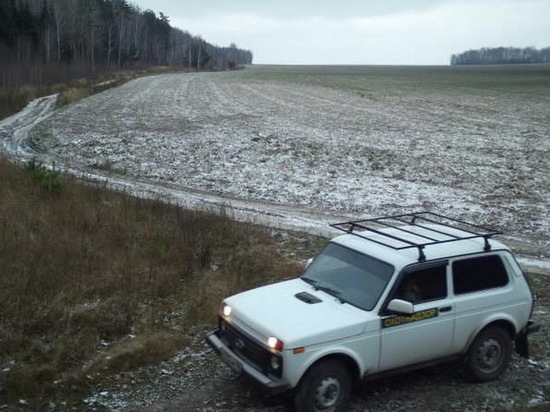 В Курской области выявили незаконную добычу дикого кабана
