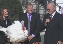 Как сообщает Politico, презедент США Джо Байден провел в Белом доме ежегодную церемонию помилования индейки в День Благодарения