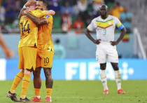 В понедельник, в 19:00 по московскому времени, в Катаре на стадионе "Эль-Тумама" состоится матч группового раунда чемпионата мира по футболу 2022 года между сборными Сенегала и Нидерландов
