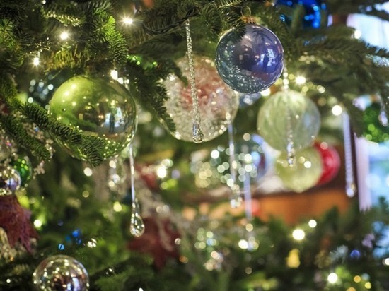 Регоператор Ямала призвал северян не выбрасывать новогодние елки в мусорные баки
