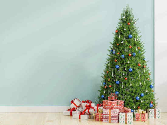 Жительница Томска дважды оплатила стоимость искусственной елки и осталась без новогоднего дерева