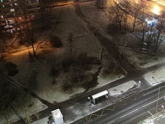 Ночь на 22 ноября стала самой холодной в Петербурге с начала осени