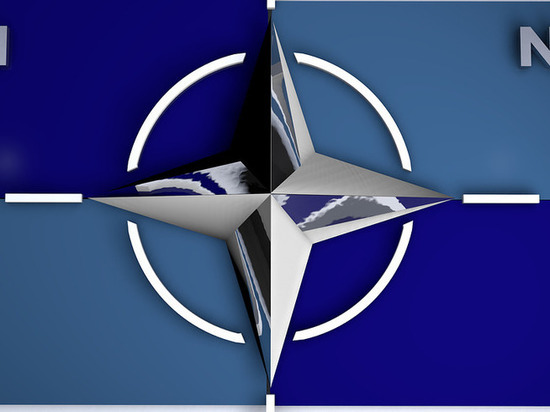 TAC: НАТО оказалось в ловушке из-за заявлений Зеленского о ракетном инциденте