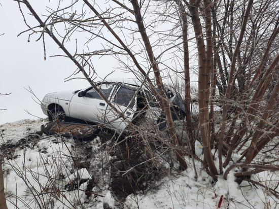 Под Воронежем на трассе машину занесло так, что она врезалась в деревья