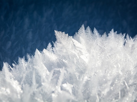 Лед в виде пенных «блинчиков» появился у берегов «Монрепо»