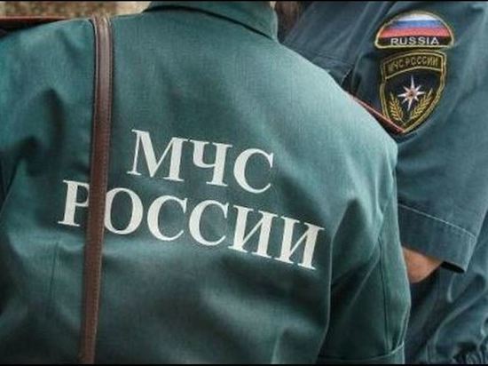Орловчан напугал забытый на остановке рюкзак