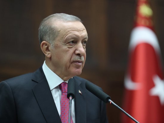 Эрдоган намекнул на наземную операцию в Сирии