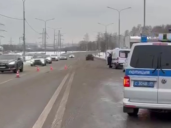 Задержан сбивший насмерть московскую школьницу водитель бетономешалки
