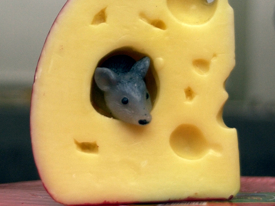 Итальянский сыр, который можно повесить на елку, выпустили в Чехове