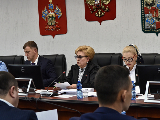 Депутаты городской Думы Краснодара проголосовали за кадровые решения нового главы города