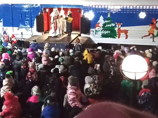 «На встрече новогоднего поезда из Великого Устюга произошла давка»